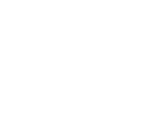 CFO 2 Growth